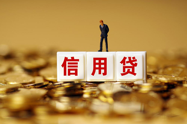 成都私借小额信用贷款